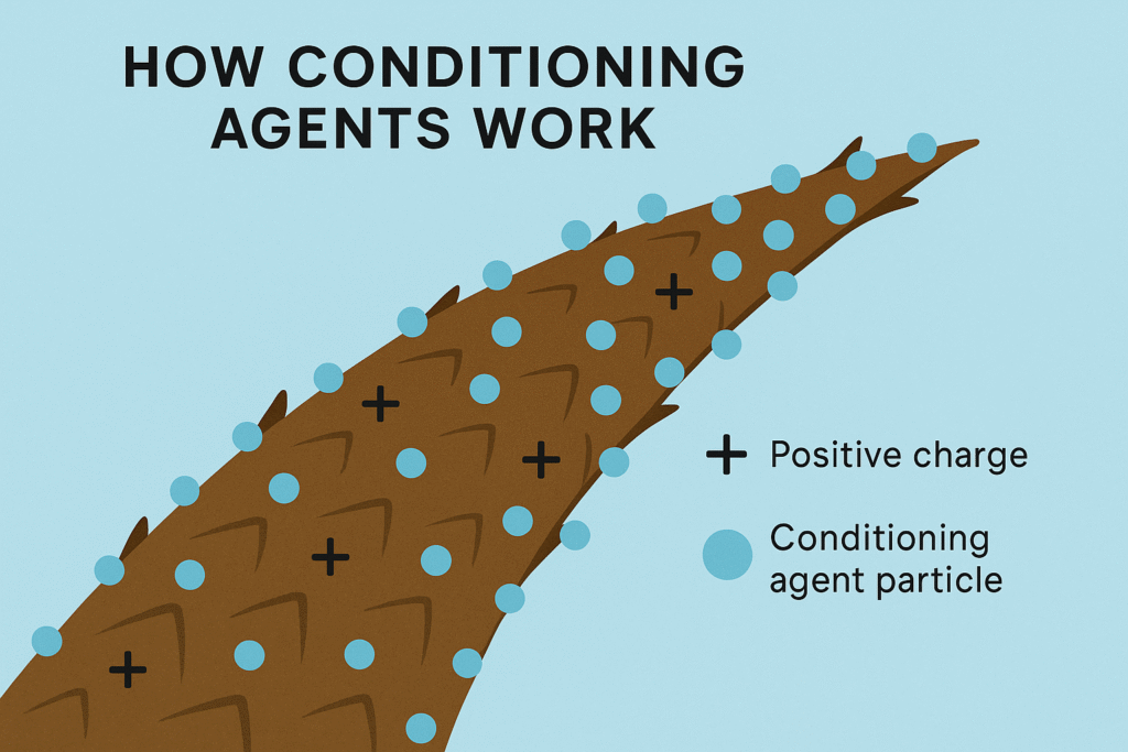 conditioning agents in shampoo